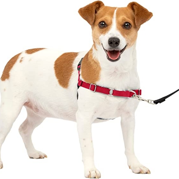 New In Package PetSafe Easy Walk No Pull Dog Harness Red/Black Small/Medium - Picture 3 of 8